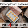 Ginseng For Kidney new13